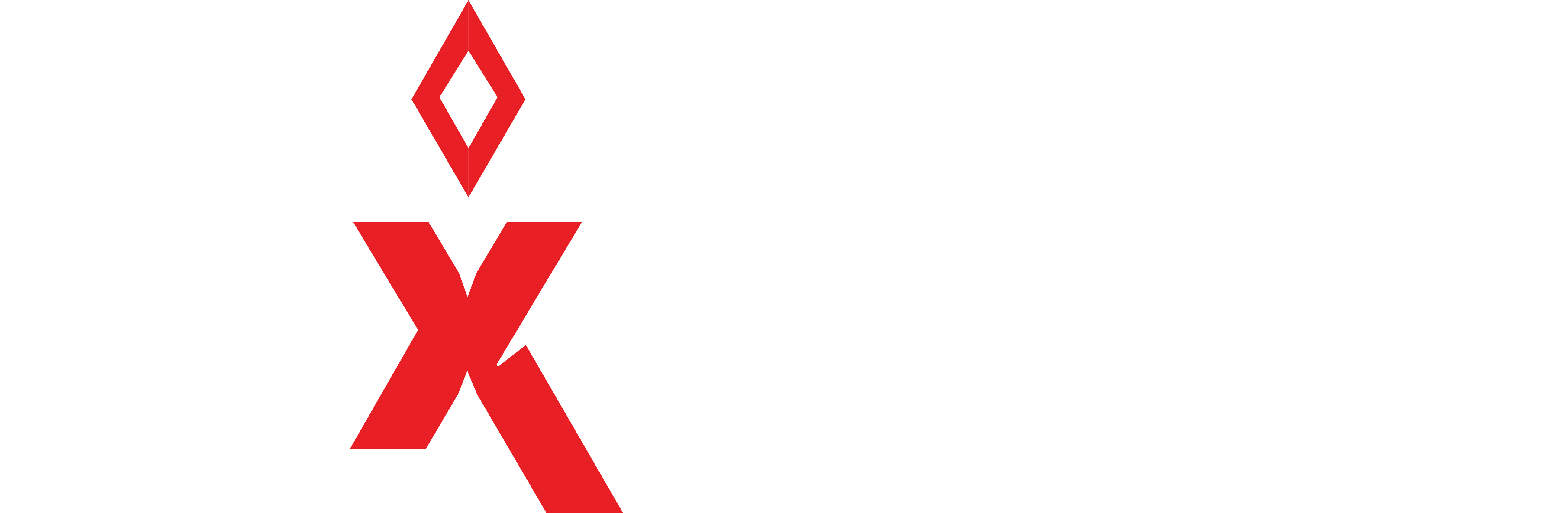 REX Garaj Logo